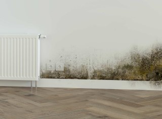 Are building-related health issues making an unwanted comeback?
